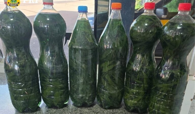 Caminhoneiro é preso com garrafas de ‘cachaça com maconha’ em operação