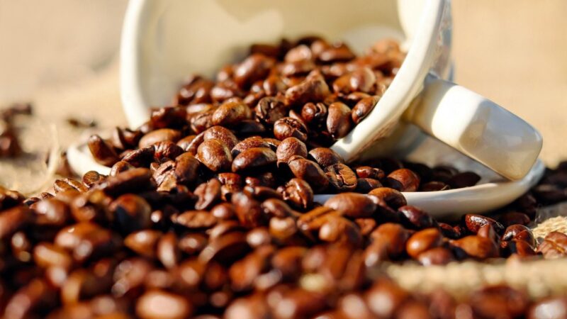 Proximidade da colheita provoca queda nos preços do café