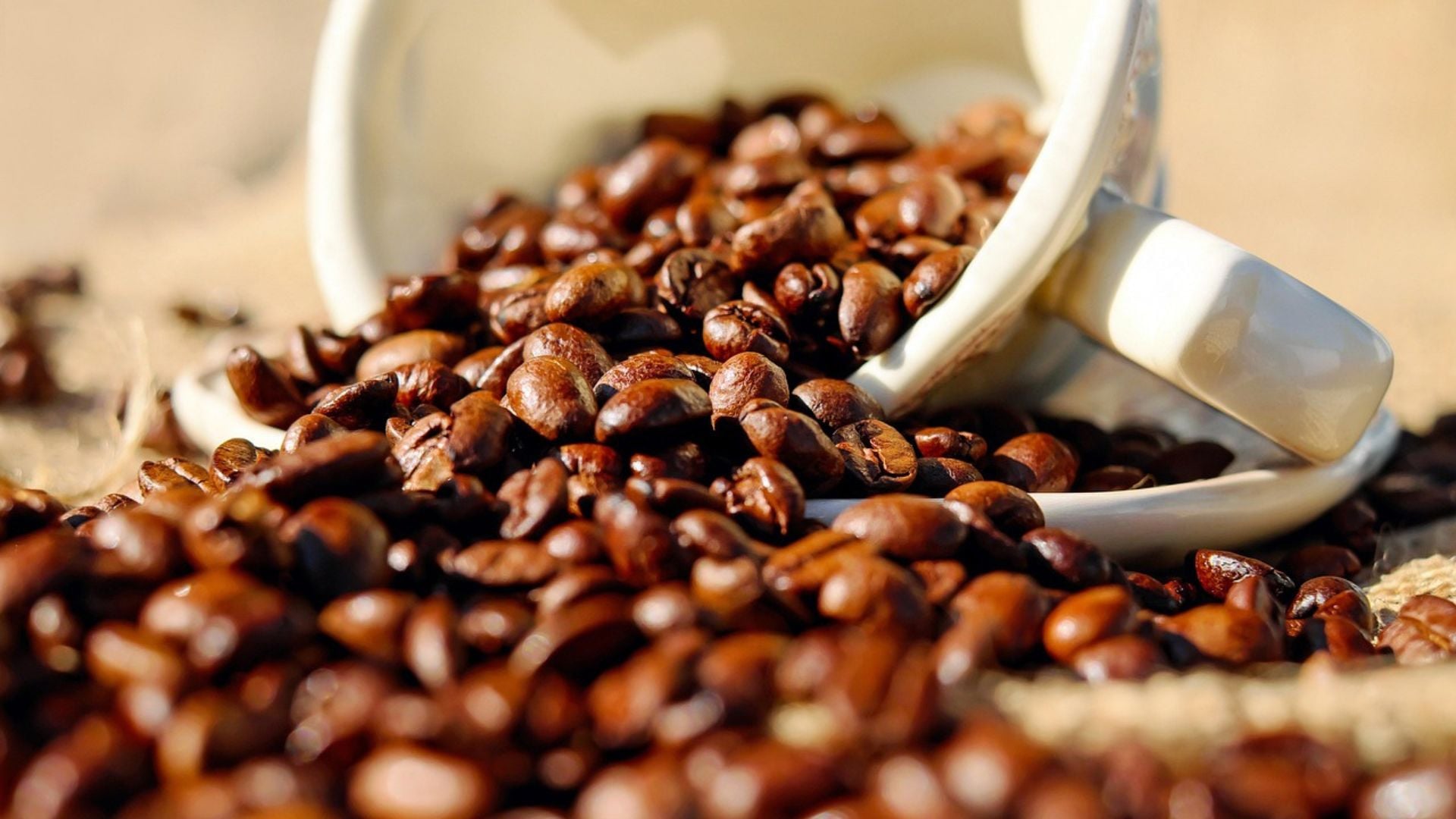 Proximidade da colheita provoca queda nos preços do café