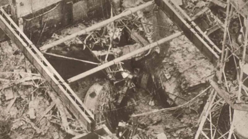Lobos de Chernobyl são mais resistentes à radiação e podem ajudar no estudo do câncer