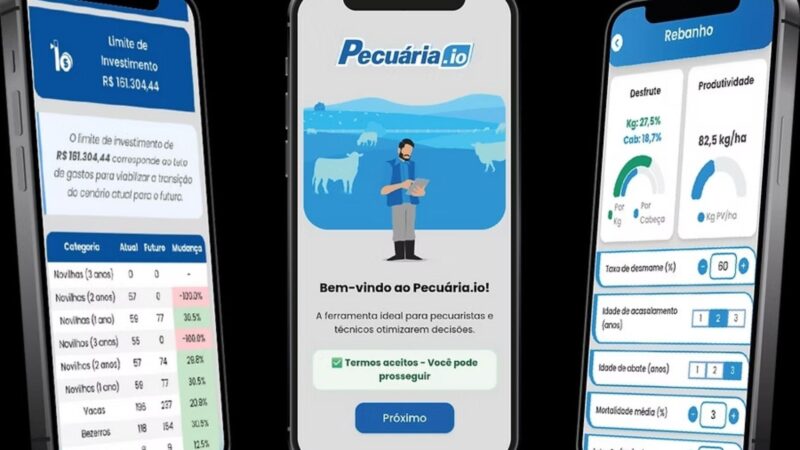 Embrapa lança simulador pecuário focado na rentabilidade do produtor; conheça