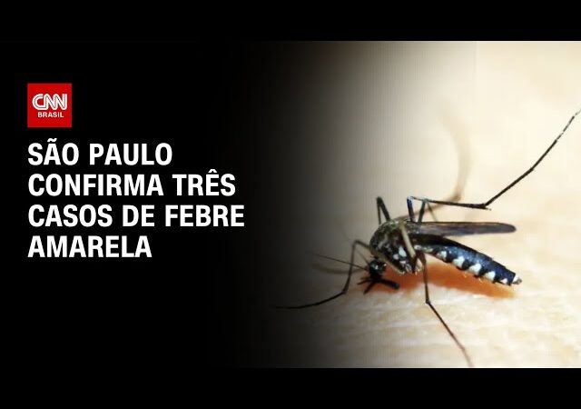 RS confirma primeira morte por dengue em 2026