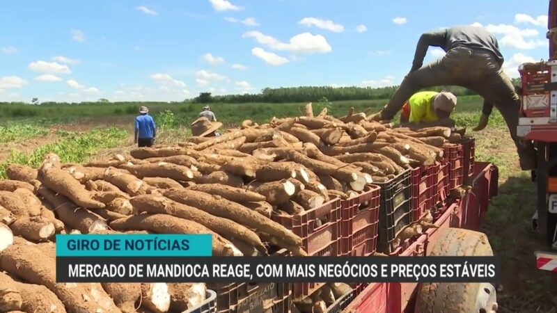Mato Grosso bate recorde na exportação de carne bovina em 2026