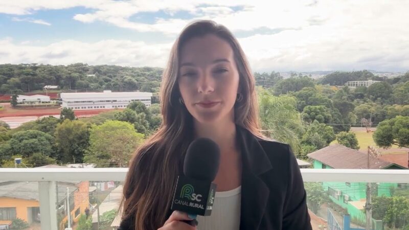Santa Catarina lidera abate de suínos com 70% do total