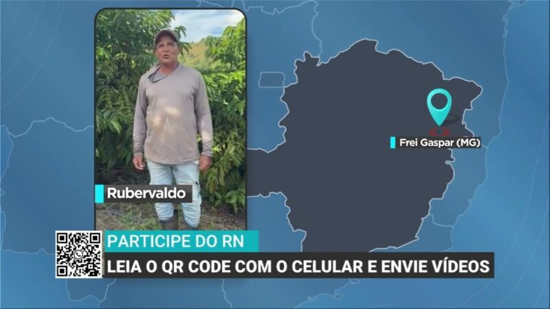 Previsão do tempo favorece colheita de café em Minas Gerais