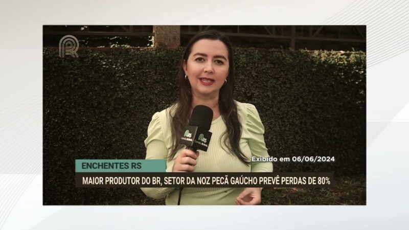 Enchentes de 2024 causaram perdas significativas na produção de noz-pecã no Rio Grande do Sul