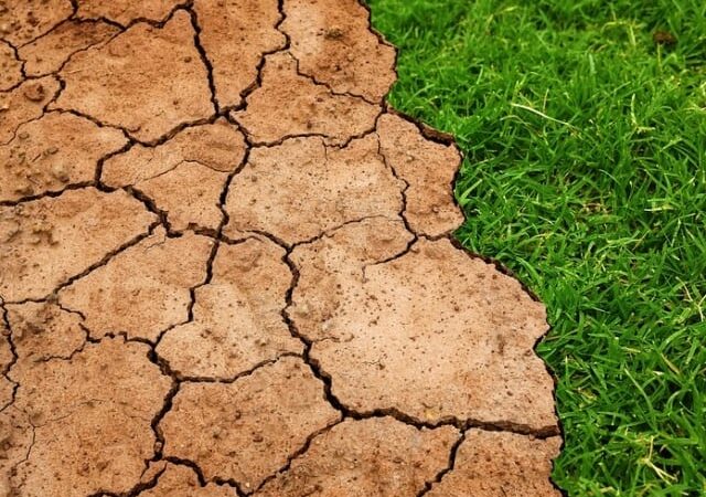 El Niño deve durar pelo menos 9 meses e afetar todo o ciclo da soja 26/27