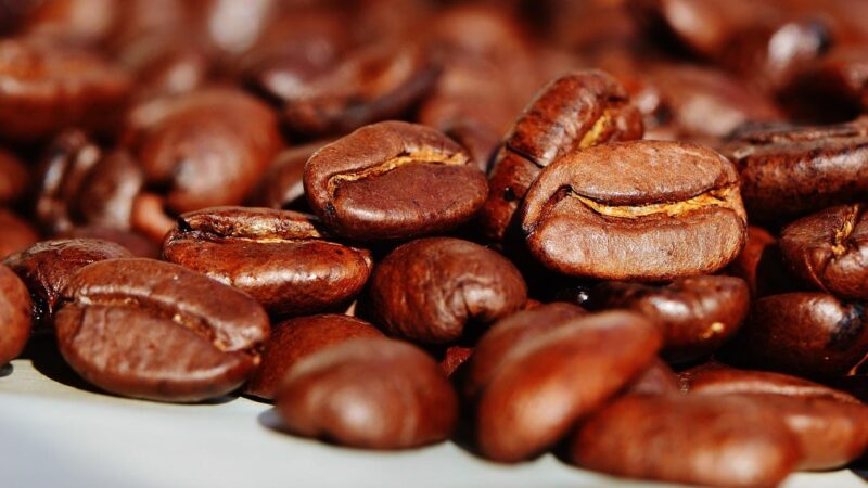 Colheita do café avança lentamente e atinge 9% da safra, aponta consultoria