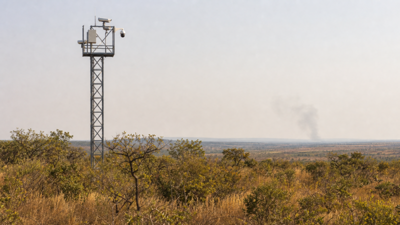 Tecnologias ampliam monitoramento de incêndios no Cerrado